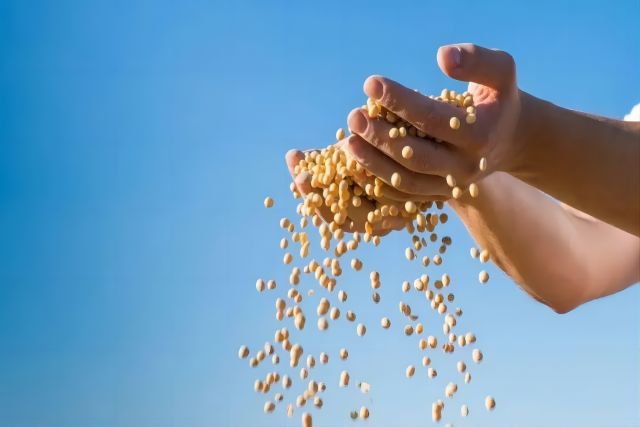 农业农村部办公厅关于印发《饲用豆粕减量替代三年行动方案》的通知